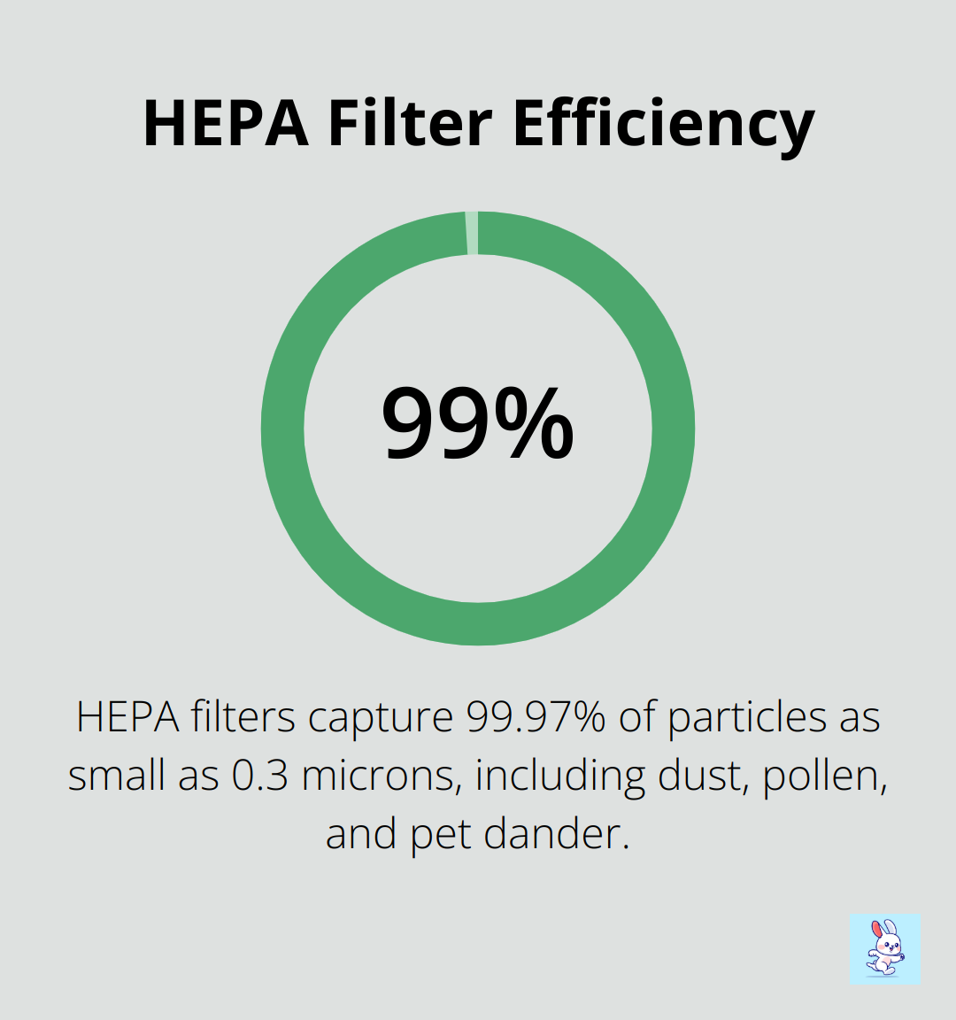 Chart showing HEPA filters capture 99.97% of particles as small as 0.3 microns - air filter types