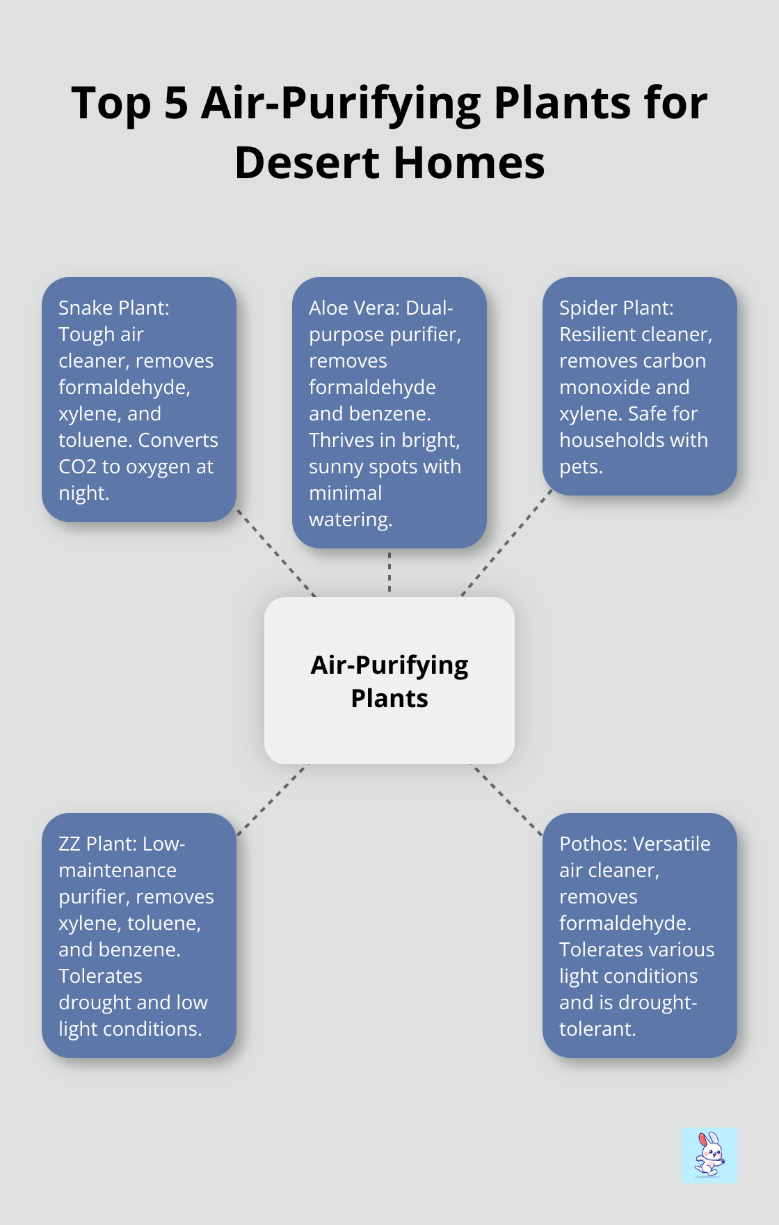 Hub and spoke chart showing 5 best air-purifying plants for desert climates: Snake Plant, Aloe Vera, Spider Plant, ZZ Plant, and Pothos - air purifying houseplants