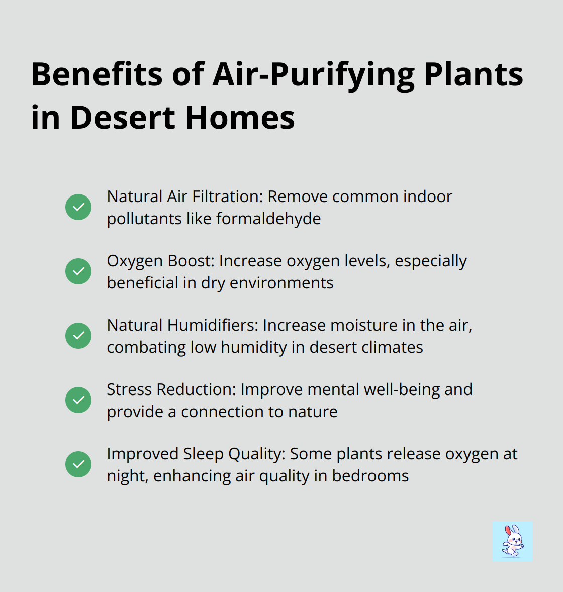 Checkmark list chart showing 5 key benefits of air-purifying plants in desert homes: natural air filtration, oxygen boost, natural humidification, stress reduction, and improved sleep quality