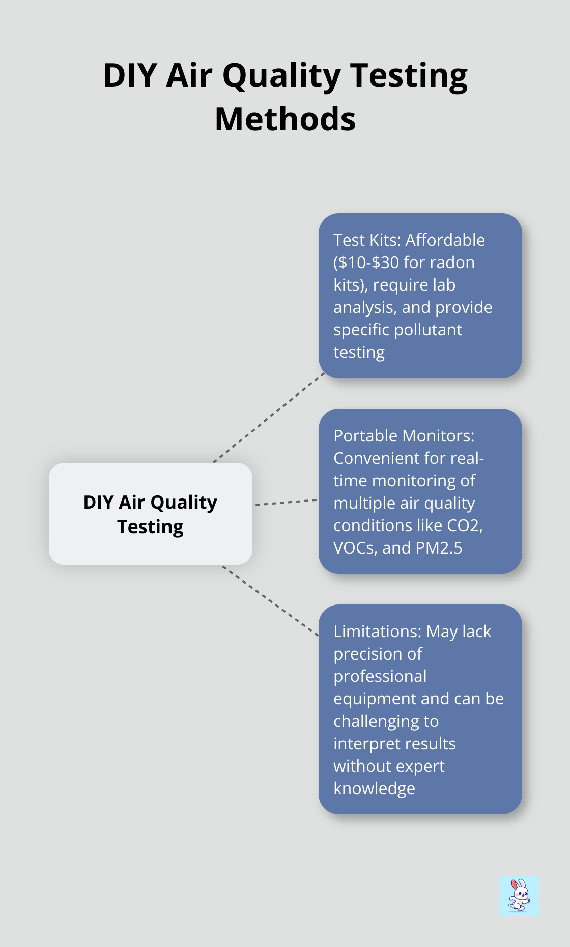 Hub and spoke chart showing DIY air quality testing methods: test kits, portable monitors, and their characteristics