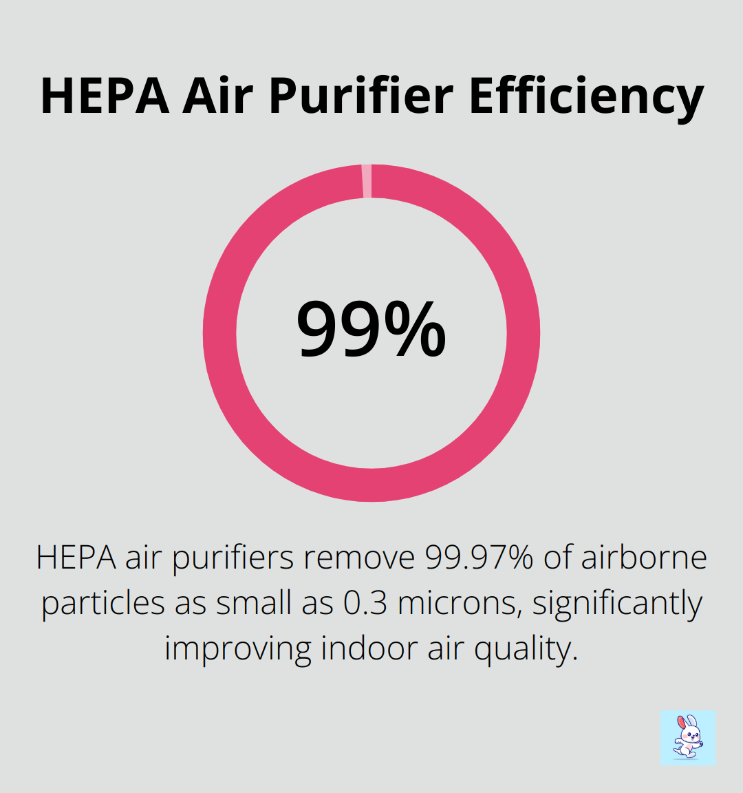 Chart showing HEPA air purifiers remove 99.97% of airborne particles as small as 0.3 microns