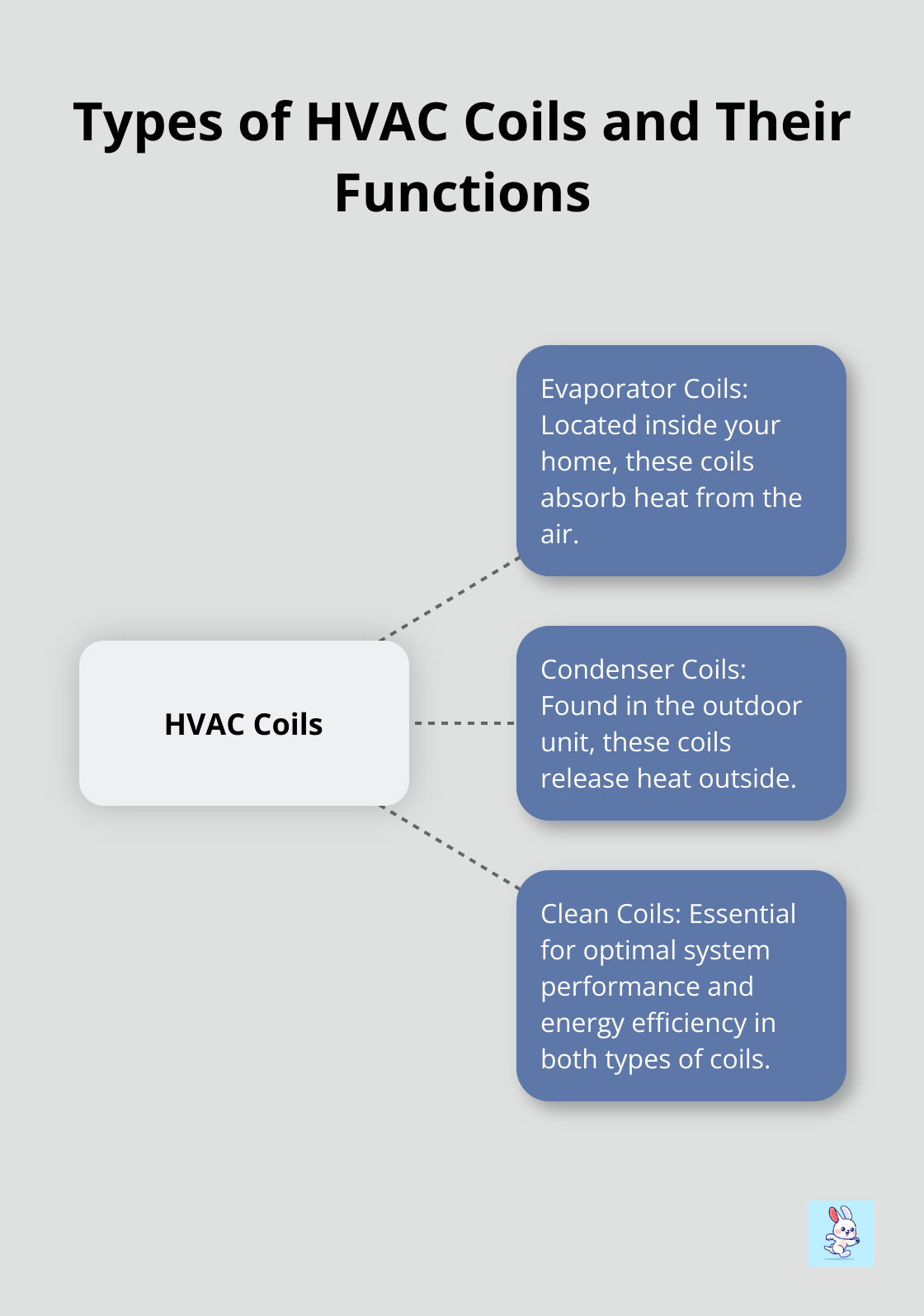 A hub and spoke chart showing two types of HVAC coils: evaporator coils and condenser coils, along with their functions and locations. It also highlights the importance of clean coils for system efficiency.