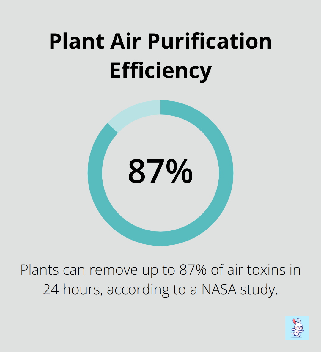 A percentage chart showing that plants can remove up to 87% of air toxins in 24 hours, according to a NASA study.