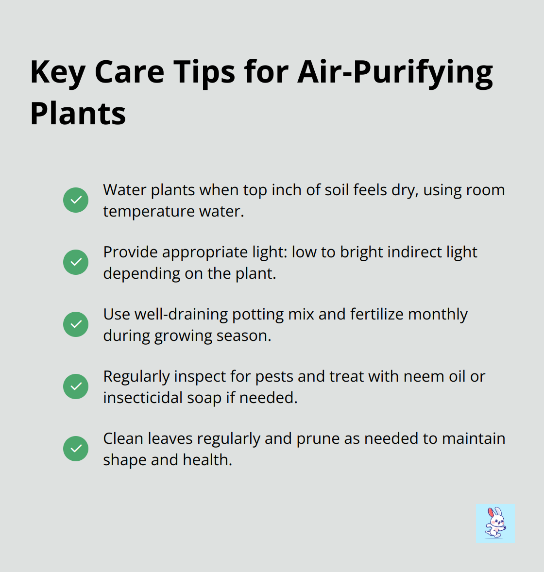 A checkmark list showing five key care tips for air-purifying plants: watering, light requirements, soil and nutrition, pest control, and maintenance. - indoor plants benefits